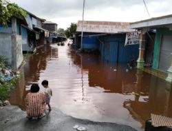 DAS Muroi Meluap, Ruas Jalan Lintas dan Rumah Warga Desa Bukit Batu Kapuas Terendam Banjir