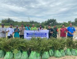 Aksi TNI Tanam Ribuan Pohon di Tanah Bumbu untuk Cegah Longsor