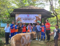 Indocement Tunggal Prakarsa Salurkan Ratusan Hewan Kurban Sapi dan Kambing