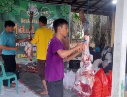 Kejari Tanbu Potong 5 Ekor Hewan Kurban
