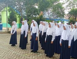 Sambangi Sekolah di Wilayah Kusan Hulu, Babinsa Barikan Materi PBB dan Pengamalan Pancasila