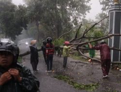 Ini Data Kerusakan Akibat Hujan Lebat Serta Angin Kencang di Sleman