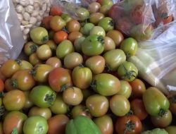 Harga Tomat di Pasar Sleman Tembus Rp 18 Ribu