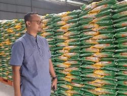 Bulog Kotabaru Jamin Stok Beras Aman Jelang Nataru