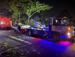 Pikap Tabrak Pohon, Sopir Tewas Penumpang Selamat