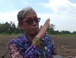 Ratusan Sapi Terpapar PKM, Suparmono: Belum Ada Rencana Ganti Rugi