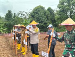 Polres Kotabaru Tanam Jagung Serentak Satu Juta Hektar