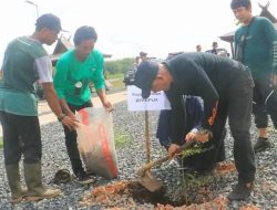 DPRKPLH Tanah Laut Tanam 600 Bibit Pohon di Embung Sarikandi Kurau