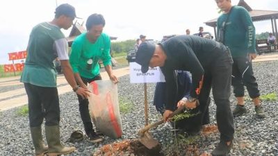 DPRKPLH Tanah Laut Tanam 600 Bibit Pohon di Embung Sarikandi Kurau