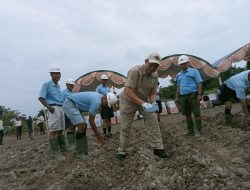 Dukung Ketahanan Pangan, PT Sungai Rangit Tanam 5 Hektar Jagung
