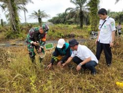 Dukung Program TNI-AD, Babinsa Gelar Aksi Tanam Pohon