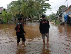 BPBD Murung Raya Pantau 4 Lokasi Banjir Akibat Luapan Sungai Barito