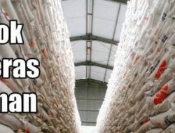 Stok Beras di Sukamara Aman Hingga 2 bulan Kedepan