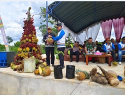 Festival Buah Lokal Permataku Bersinar Dorong Ekonomi dan Pariwisata Sukamara