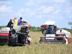 Wabup Murung Raya Dukung Ketahanan Pangan Nasional, Harga Gabah Kalteng Rp6.500/Kg