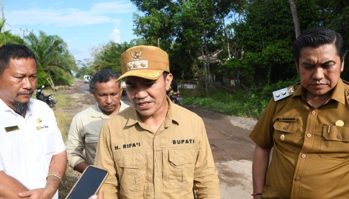 Bupati Tinjau Jalan Rusak di Pandih Batu, Janji Perbaikan Segera