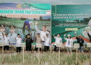 Tanah Bumbu Jadi Pusat Gerakan Tanam Padi Serentak, Dukung Swasembada Beras
