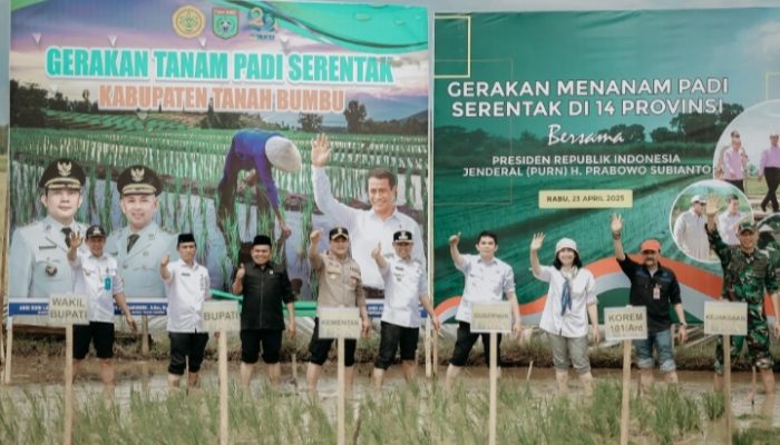 Tanah Bumbu Jadi Pusat Gerakan Tanam Padi Serentak, Dukung Swasembada Beras