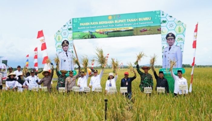 Kodim 1022/Tanah Bumbu Dukung Panen Raya Padi dan Proyek Cetak Sawah 7.000 Hektare