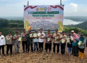 Polsek Sampanahan Gandeng PT Sinarmas dan Muspika Tanam Jagung Dukung Ketahanan Pangan Nasional