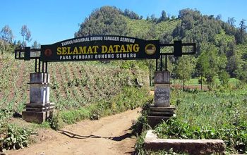 Pintu gerbang jalur Ranukumbolo, Gunung Semeru. (Sumber Foto BB TNBTS)