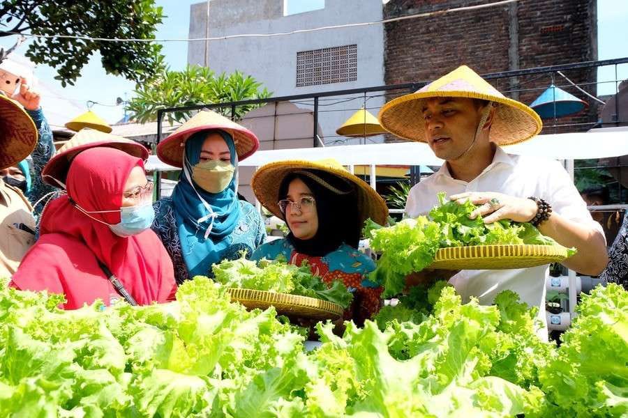 Warga Kampung Sayur Gangnam Rojo merawat tanaman hidroponik di Jalan Kalidami, Kelurahan Mojo, Surabaya, Senin (20/5/2025). Urban farming memberi peluang ekonomi baru bagi warga kota.