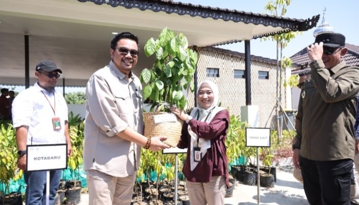 Tanah Bumbu Dapat 500 Bibit Tanaman dari Wamenhut! Siap Perkuat Ketahanan Pangan