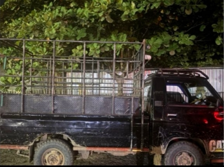 Polsek Angsana menyita mobil Mitsubishi pick-up dan dua ban truk saat menangkap RI, penadah sapi curian, di Desa Sebamban Baru, Jumat (16/5/2025).