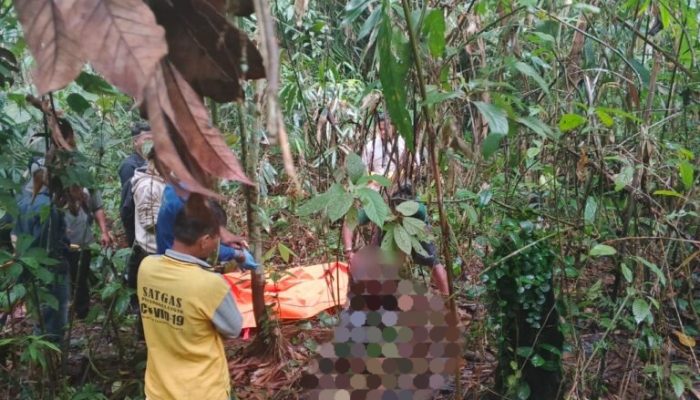 Mayat Tanpa Kepala Ditemukan di Hutan Loksado