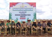 Tanah Bumbu Panen Raya Jagung, Wakil Ketua DPRD Dukung Swasembada Pangan Nasional