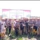 Kapolda Kalsel Irjen Pol Rosyanto Yudha Hermawan memimpin panen jagung dari lahan rawa basah di Kabupaten Banjar, Kamis (5/6/2025).
