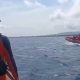 Petugas SAR mengevakuasi korban selamat KMP Tunu Pratama Jaya di Pelabuhan Gilimanuk, Kamis (3/7/2025). Hingga kini, proses pencarian masih terus dilakukan. (Foto: Basarnas)