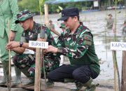 Bupati Bersama Dandim Tanah Bumbu Tanam Mangrove