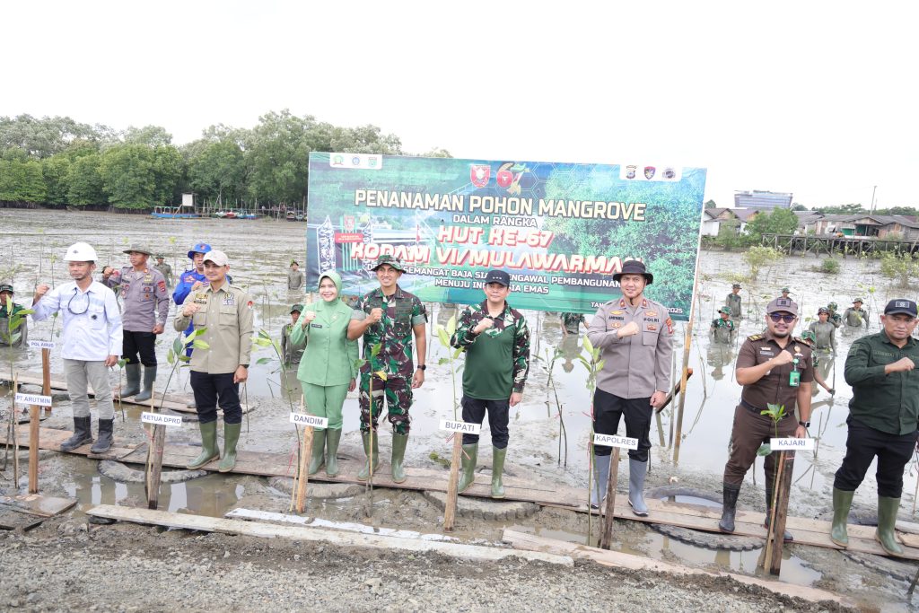 Ketua DPRD Tanah Bumbu Andrean Atma Maulani menanam bibit mangrove di kawasan pesisir Pelabuhan Batang, Rabu (2/7/2025), sebagai bagian dari HUT ke-67 Kodam VI/Mulawarman.