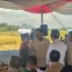 Wakil Menteri Pertanian Sudaryono bersama Bupati Jember Gus Fawait panen padi bareng petani Desa Suka Makmur, Jumat (11/7/2025).