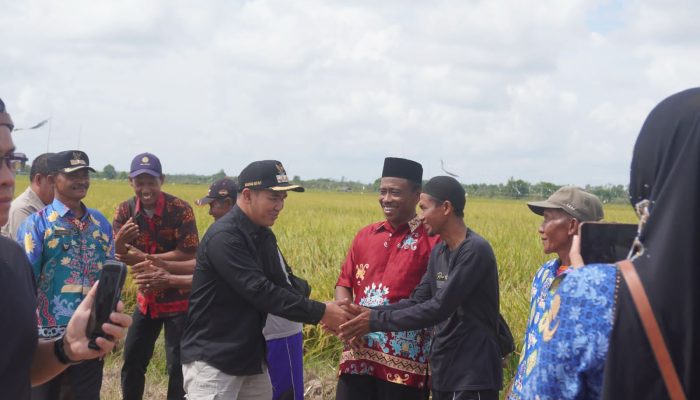 Bupati Pulang Pisau Syukuri Panen dan Tegaskan Pentingnya Pertanian
