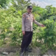 Ket Foto : Petugas Polsek Timpah meninjau lahan hortikultura milik warga Desa Tumbang Randang, Kecamatan Timpah, Kapuas, Selasa (29/7/2025). (Foto: Dok. Polsek Timpah)