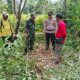 Ket Foto : Lokasi penemuan kerangka manusia di kebun karet Desa Gandang Barat, Kecamatan Maliku, Kabupaten Pulang Pisau, Jumat (1/8/2025).