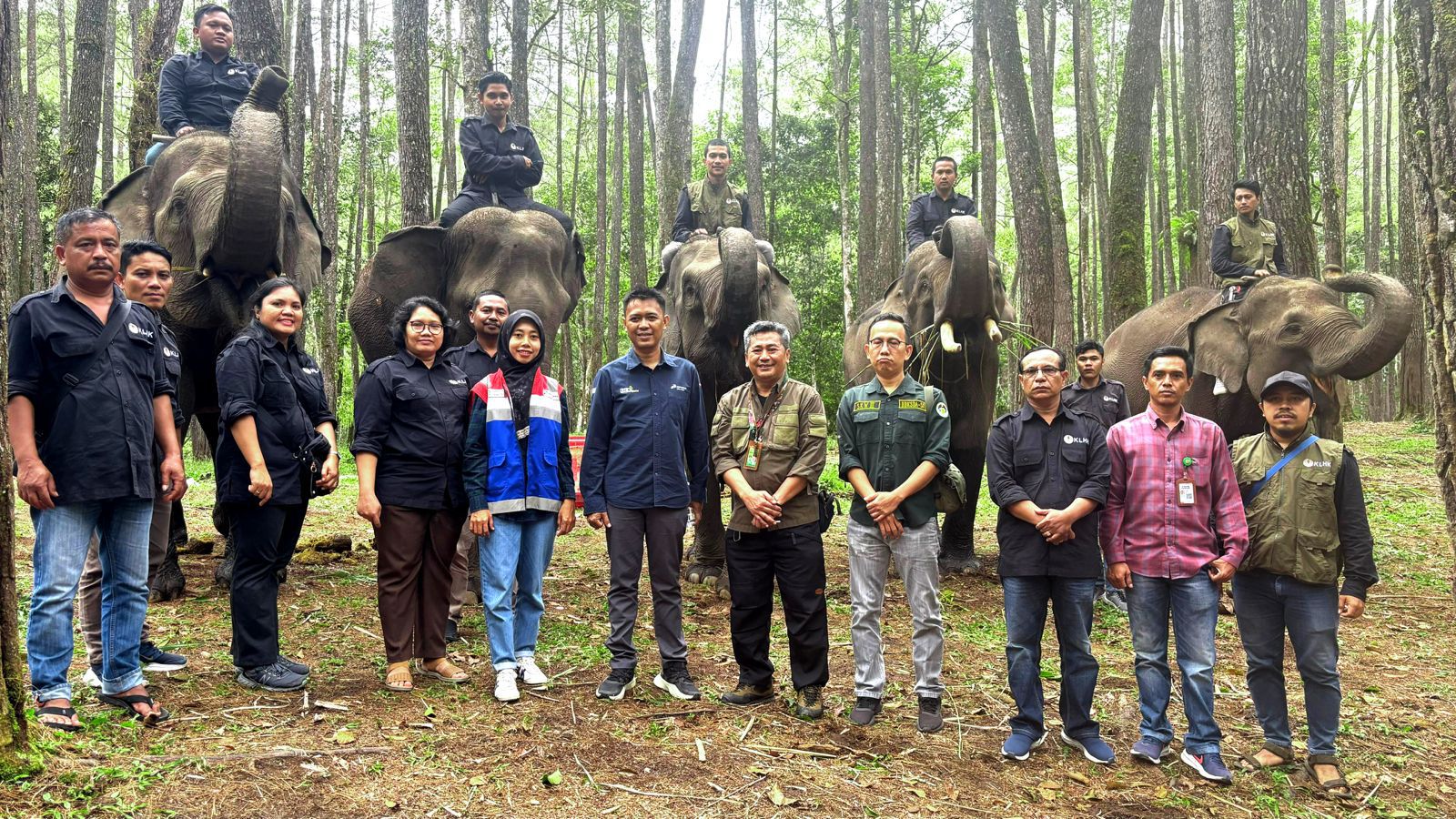 Pertamina Patra Niaga bersama pengelola Wisata Edukasi Aek Nauli merawat Gajah Sumatera dalam program konservasi lingkungan berkelanjutan, Sabtu (16/8/2025).