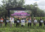 Bupati Tabalong Panen Bawang Merah TSS Bersama Kapolsek Pugaan