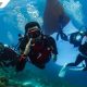 Komunitas penyelam bersama Pertamina Patra Niaga bentangkan bendera Merah Putih raksasa di bawah laut Wakatobi, Sulawesi Tenggara, Selasa (19/8/2025).