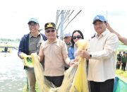 Bupati Sukamara Dampingi Gubernur Kalteng Tinjau Pengembangan Tambak Udang Vannamei