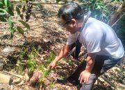 5 Pohon Sonokeling di Bantul Dicuri, Pemilik Rugi Rp25 Juta