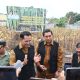 Bupati Pulang Pisau H.Ahmad Rifa’i (tengah) didampingi Wakil Bupati memantau langsung hasil panen jagung hibrida di Desa Mentaren I, Senin (8/9). Kegiatan ini bagian dari strategi pemerintah menekan inflasi dan mendongkrak ekonomi lokal.