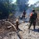 Petugas Polsek Kelumpang Tengah bersama anggota Koramil 1004-06 menyisir lahan bekas Karhutla di Desa Sembilang untuk memastikan api benar-benar padam.