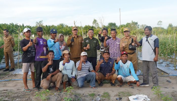 Bupati Sukamara Dorong Gerakan Tanam Cabe Cepat Panen di Desa Kartamulia
