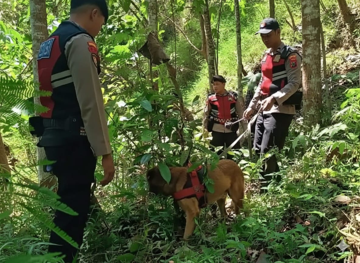 Petugas Polres Pacitan bersama tim K-9 Polda Jatim menyusuri sungai dan hutan untuk memburu AS alias Wawan, pelaku pembunuhan di Desa Temon.