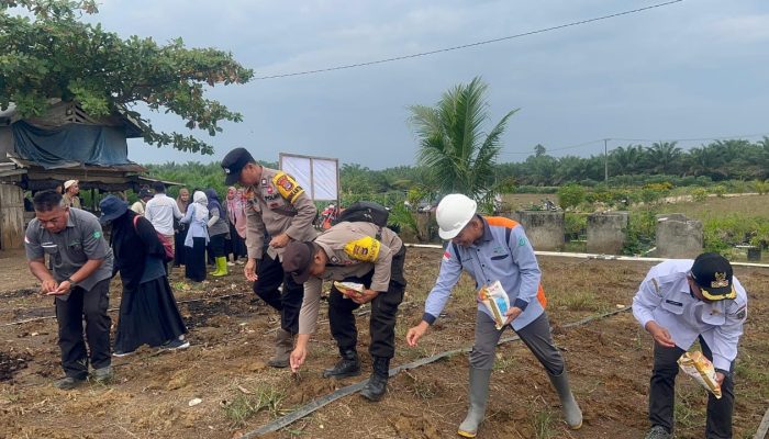 Polsek Kelumpang Barat Dukung Program Ketahanan Pangan Lewat Penanaman Jagung di Lahan PT Palma Prima