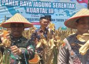 Polsek Hampang Gelar Panen Raya Jagung, Hasilkan 40 Ton