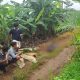 Warga berkumpul di sekitar lokasi penemuan jasad pria berlumuran darah di Desa Bajuin, Kecamatan Bajuin, Tanah Laut, Selasa (16/8/2025) pagi.